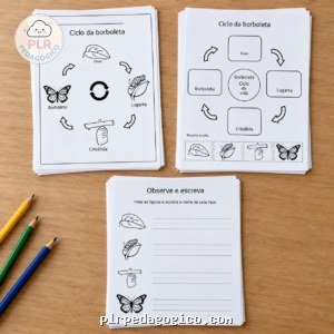 Kit Ciências - Ciclo da Borboleta