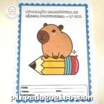 Avaliação diagnóstica 1º ano
