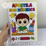 Apostila dos Números