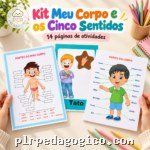Kit Meu Corpo e os Cinco Sentidos