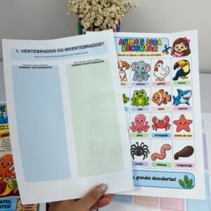 Classificação dos animais – Folhas recorte
